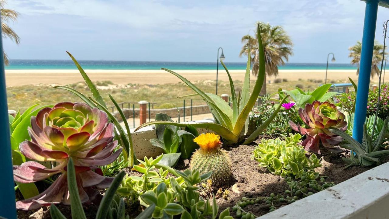 Tarifa Cozy House - Beachfront, Stylish Deco Εξωτερικό φωτογραφία